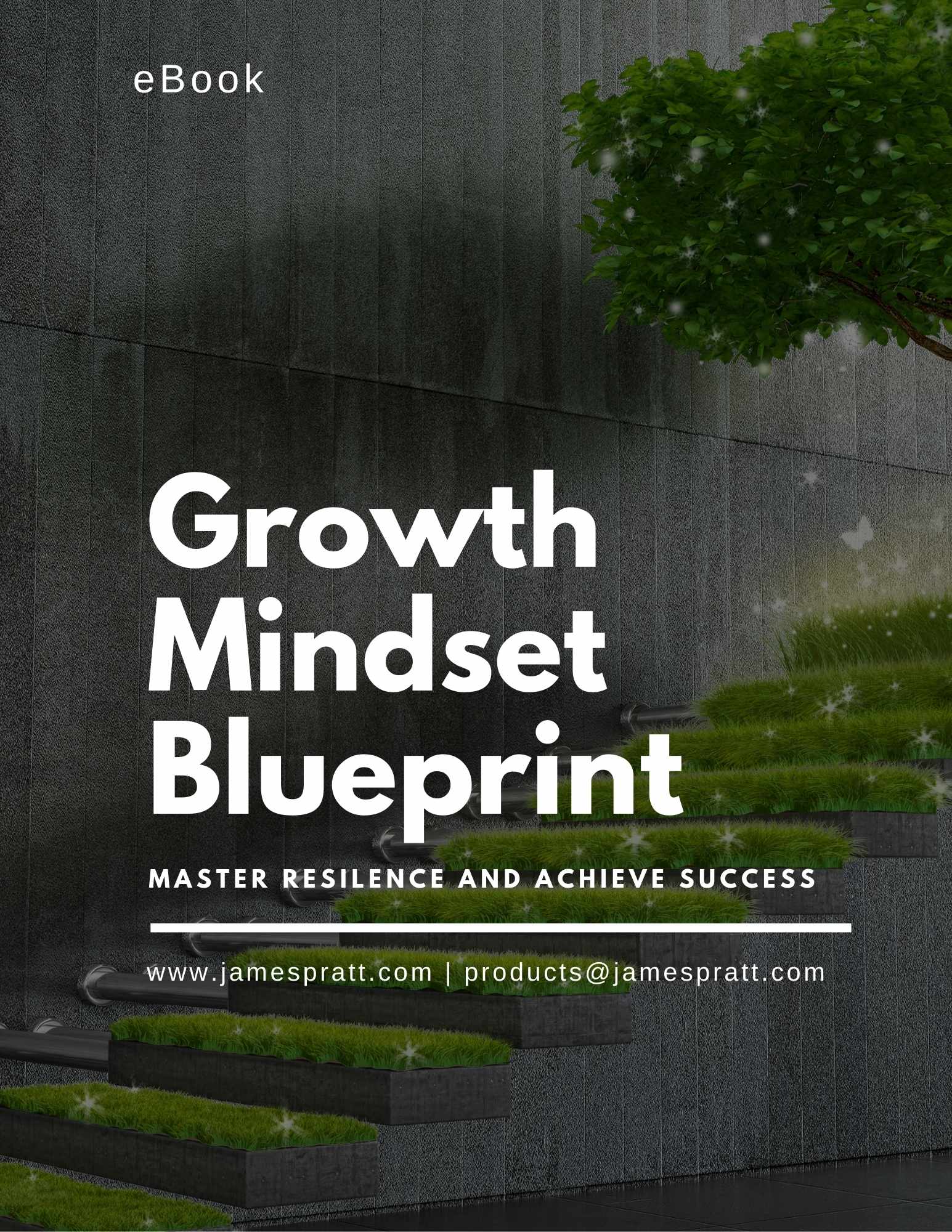 Book cover of 'Growth Mindset Blueprint' featuring the subtitle 'Master Resilence and Acheive Success.' The website www.jamespratt.com is located in the bottom right corner.