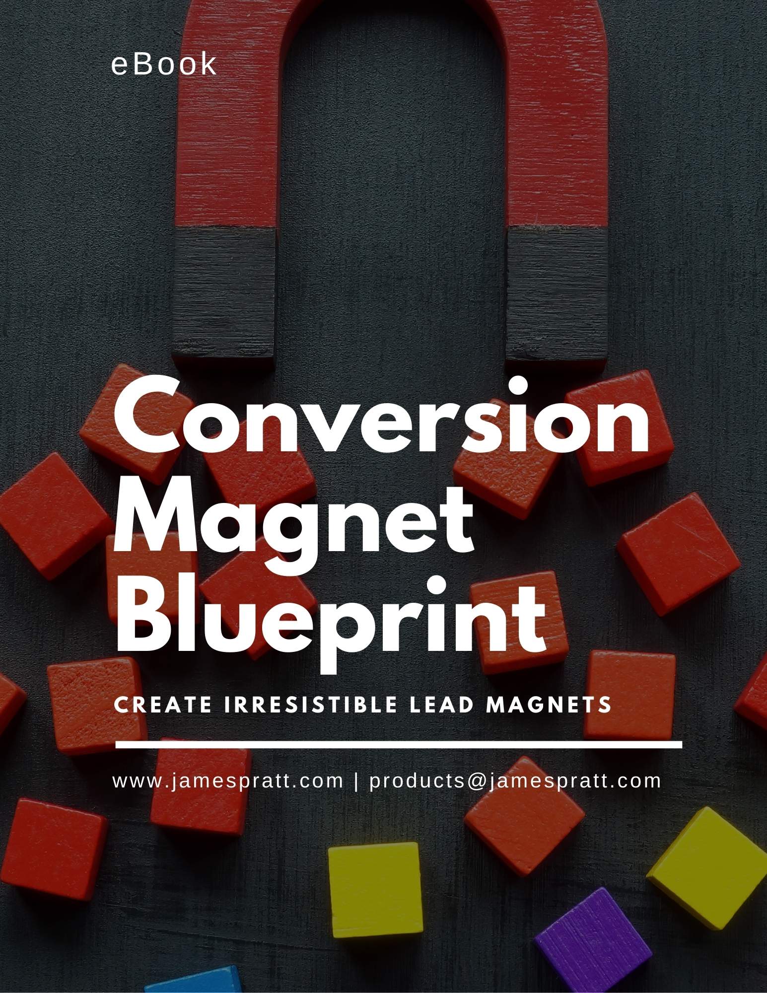 Book cover of 'Lead Magnet Conversions' with the subtitle, 'Learn to choose lead magnets, optimise pages, and boost conversions.' The website www.jamespratt.com is displayed in the bottom right corner.